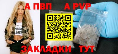 jwh Кингисепп