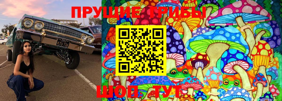 Элиста  Псилоцибиновые грибы MAGIC MUSHROOMS  Вход с VPN 